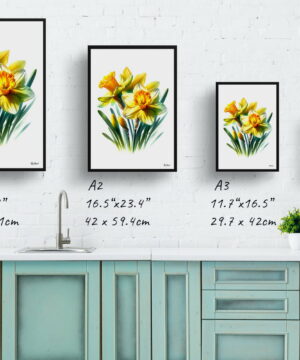 Narcissus Jonquil (Daffodil) Watercolour Painting Style Art Print - Illustration Framed Plant Wall Art - Image 12