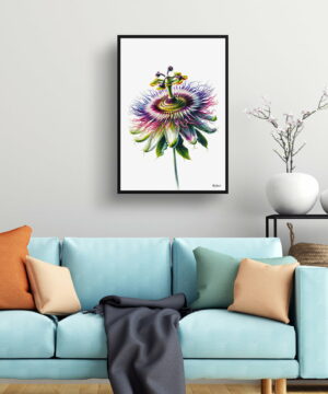 Passion Flower (Passiflora) Watercolour Painting Style Art Print - Illustration Framed Plant Wall Art 19 Passion Flower (Passiflora) Watercolour Painting Style Art Print - Illustration Framed Plant Wall Art - Image 6
