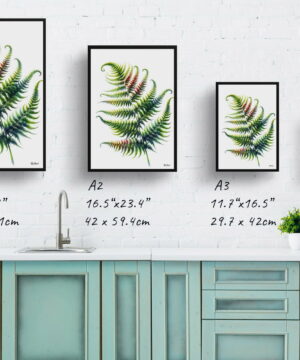 Sensitive Fern (Onoclea) Watercolour Painting Style Art Print - Illustration Framed Plant Wall Art 25 Sensitive Fern (Onoclea) Watercolour Painting Style Art Print - Illustration Framed Plant Wall Art - Image 12