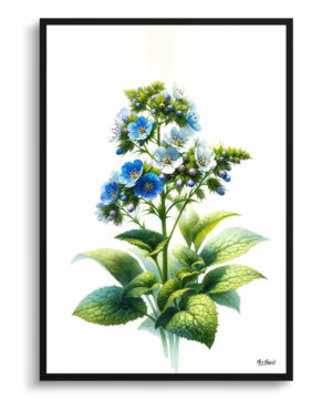 Siberian bugloss (Brunnera Macrophylla) Watercolour Painting Style Art Print - Illustration Framed Plant Wall Art 18 Siberian bugloss (Brunnera Macrophylla) Watercolour Painting Style Art Print - Illustration Framed Plant Wall Art - Image 5