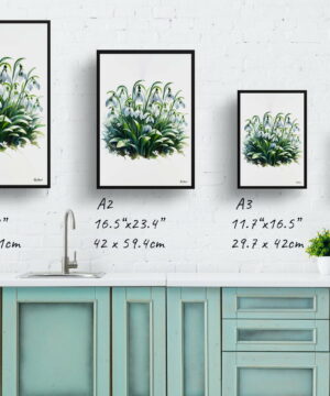 Snowdrop (Galanthus) Watercolour Painting Style Art Print - Illustration Framed Plant Wall Art 21 Snowdrop (Galanthus) Watercolour Painting Style Art Print - Illustration Framed Plant Wall Art - Image 8