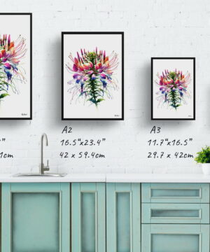 Spider flower (Cleome) Watercolour Painting Style Art Print - Illustration Framed Plant Wall Art 21 Spider flower (Cleome) Watercolour Painting Style Art Print - Illustration Framed Plant Wall Art - Image 8