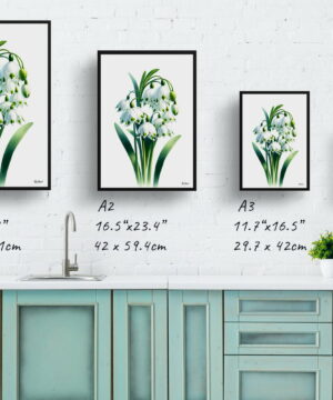 Summer snowflake (Leucojum Aestivum) Watercolour Painting Style Art Print - Illustration Framed Plant Wall Art 25 Summer snowflake (Leucojum Aestivum) Watercolour Painting Style Art Print - Illustration Framed Plant Wall Art - Image 12