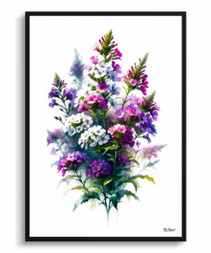 Sweet Rocket (Hesperis matronalis) Watercolour Painting Style Art Print - Illustration Framed Plant Wall Art 22 Sweet Rocket (Hesperis matronalis) Watercolour Painting Style Art Print - Illustration Framed Plant Wall Art - Image 9
