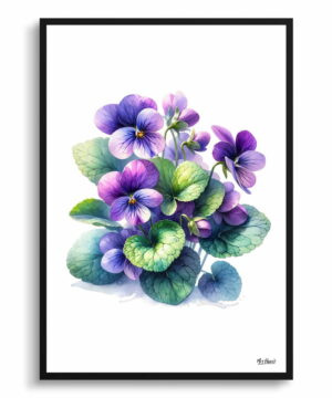 Sweet Violet (Viola odorata) Watercolour Painting Style Art Print - Illustration Framed Plant Wall Art 18 Sweet Violet (Viola odorata) Watercolour Painting Style Art Print - Illustration Framed Plant Wall Art - Image 5