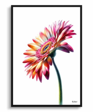 Transvaal daisy (Gerbera) Watercolour Painting Style Art Print - Illustration Framed Plant Wall Art 22 Transvaal daisy (Gerbera) Watercolour Painting Style Art Print - Illustration Framed Plant Wall Art - Image 9