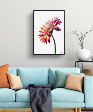 Transvaal daisy (Gerbera) Watercolour Painting Style Art Print - Illustration Framed Plant Wall Art 23 Transvaal daisy (Gerbera) Watercolour Painting Style Art Print - Illustration Framed Plant Wall Art - Image 10