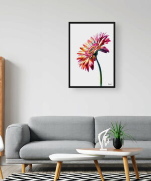 Transvaal daisy (Gerbera) Watercolour Painting Style Art Print - Illustration Framed Plant Wall Art 20 Transvaal daisy (Gerbera) Watercolour Painting Style Art Print - Illustration Framed Plant Wall Art - Image 7