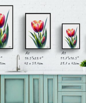 Tulip (Tulipa) Watercolour Painting Style Art Print - Illustration Framed Plant Wall Art 21 Tulip (Tulipa) Watercolour Painting Style Art Print - Illustration Framed Plant Wall Art - Image 8