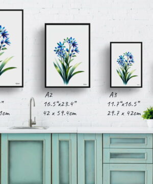 Two-leaf squill (Scilla Bifolia) Watercolour Painting Style Art Print - Illustration Framed Plant Wall Art 21 Two-leaf squill (Scilla Bifolia) Watercolour Painting Style Art Print - Illustration Framed Plant Wall Art - Image 8
