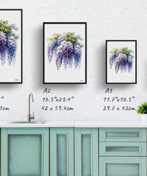 Wisteria (Fabaceae) Watercolour Painting Style Art Print - Illustration Framed Plant Wall Art 25 Wisteria (Fabaceae) Watercolour Painting Style Art Print - Illustration Framed Plant Wall Art - Image 12