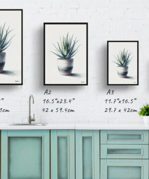 Aloe vera (Aloe barbadensis) Watercolour Style Art Print - Illustration Painting Framed Plant Wall Art 25 Aloe vera (Aloe barbadensis) Watercolour Style Art Print - Illustration Painting Framed Plant Wall Art - Image 12