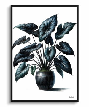Black Velvet Alocasia (Alocasia Reginula) Watercolour Style Art Print - Illustration Painting Framed Plant Wall Art 22 Black Velvet Alocasia (Alocasia Reginula) Watercolour Style Art Print - Illustration Painting Framed Plant Wall Art - Image 9