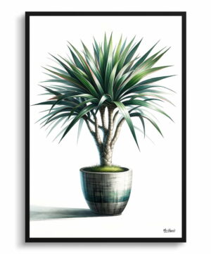 Dragon Tree (Dracaena Marginata) Watercolour Style Art Print - Illustration Painting Framed Plant Wall Art 22 Dragon Tree (Dracaena Marginata) Watercolour Style Art Print - Illustration Painting Framed Plant Wall Art - Image 9