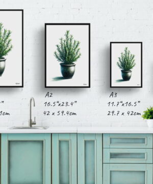 Rosemary (Salvia Rosmarinus) Watercolour Style Art Print - Illustration Painting Framed Plant Wall Art 25 Rosemary (Salvia Rosmarinus) Watercolour Style Art Print - Illustration Painting Framed Plant Wall Art - Image 12