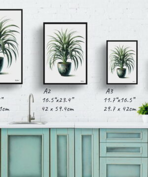 Spider Plant (Chlorophytum Comosum) Watercolour Style Art Print - Illustration Painting Framed Plant Wall Art 21 Spider Plant (Chlorophytum Comosum) Watercolour Style Art Print - Illustration Painting Framed Plant Wall Art - Image 8
