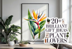 20 brillant gift ideas for plant lovers